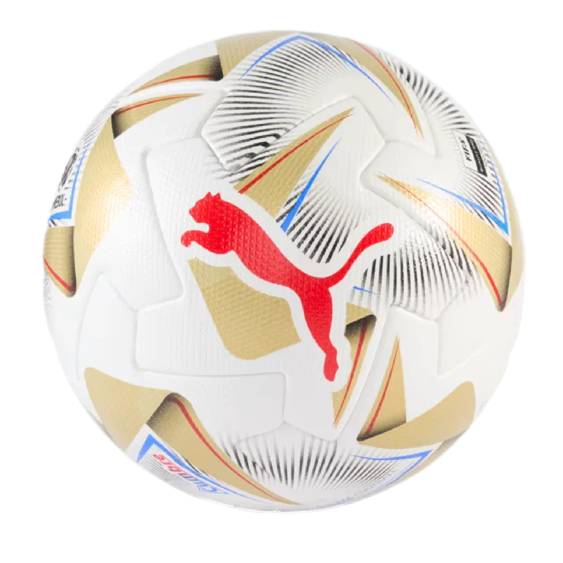 Puma Cumbre CONMEBOL Copa America FIFA Match Ball