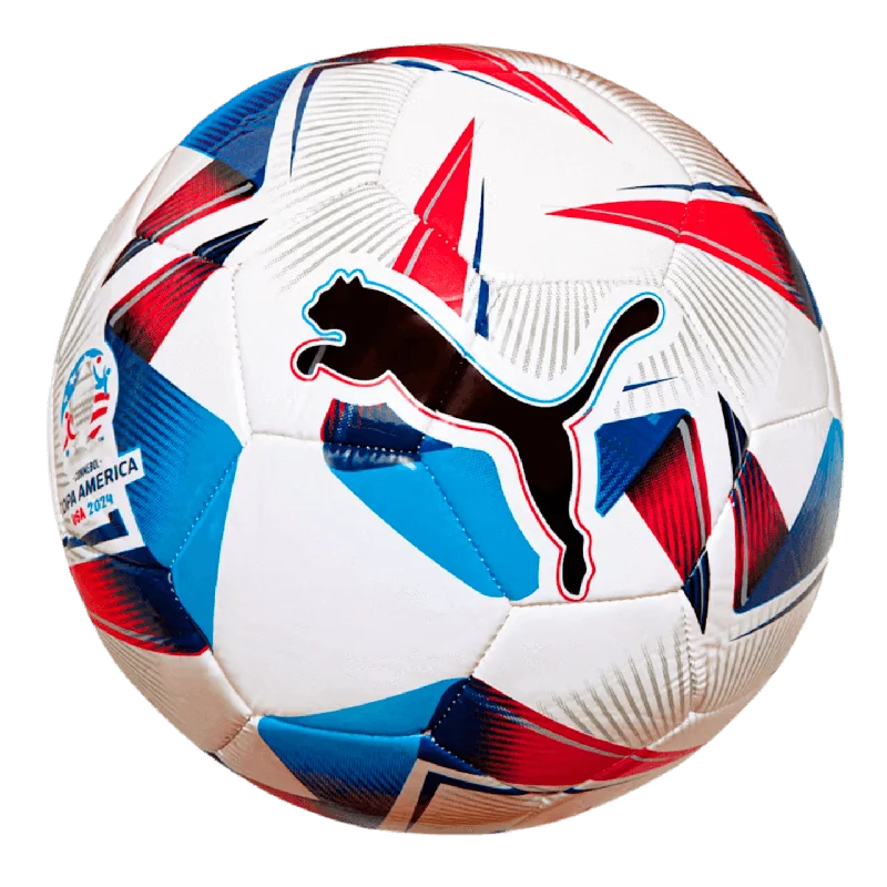 Puma Cumbre CONMEBOL Copa America Training Ball